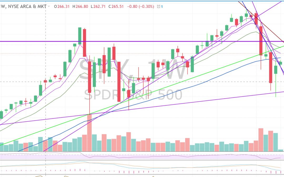 Is the Market in Recovery or Dead Cat Bounce? Bear or Bull to come….