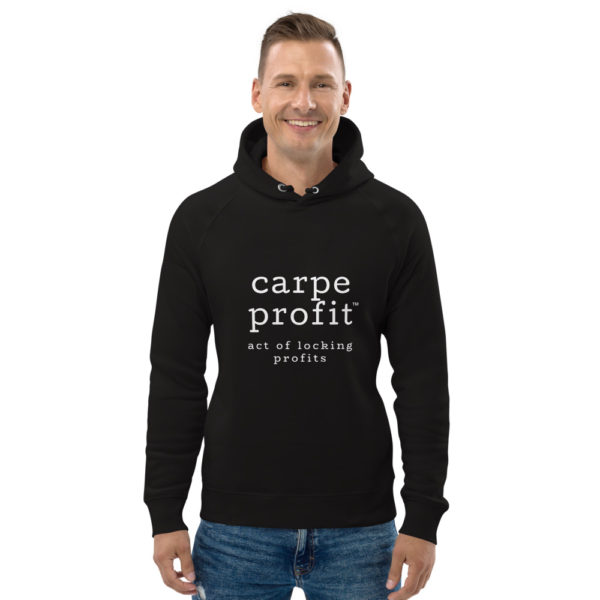 Carpe Profit Hoodie